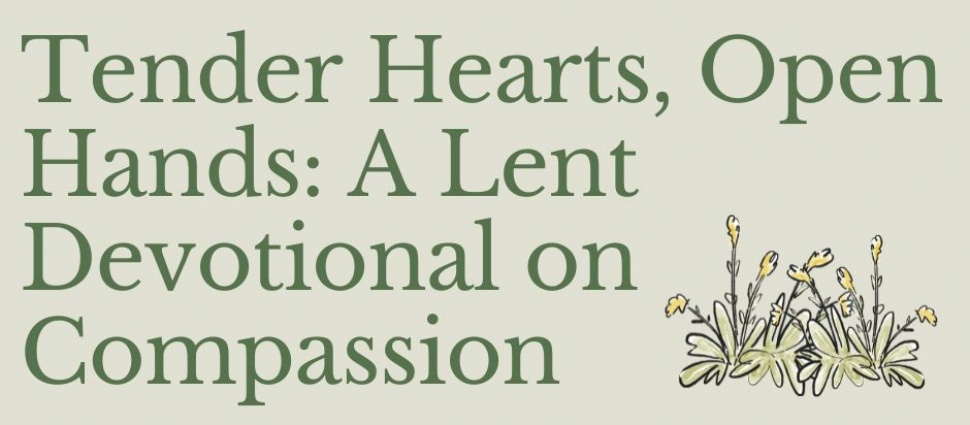 An image of text that says "Tender Hearts, Open Hands: A Lent Devotional on Compassion".